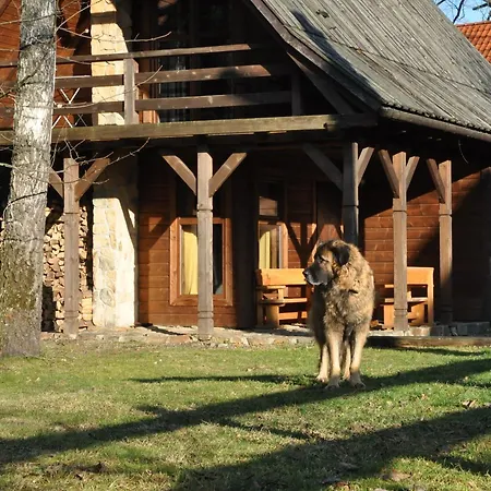 Villejka, Domki I Domy Wakacyjne Wetlina Exterior photo